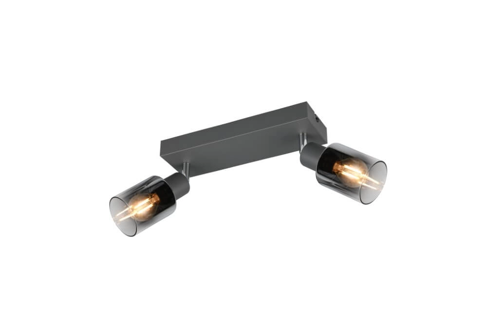 2-light ceiling lamp Cadiz black Trio 4017807615760