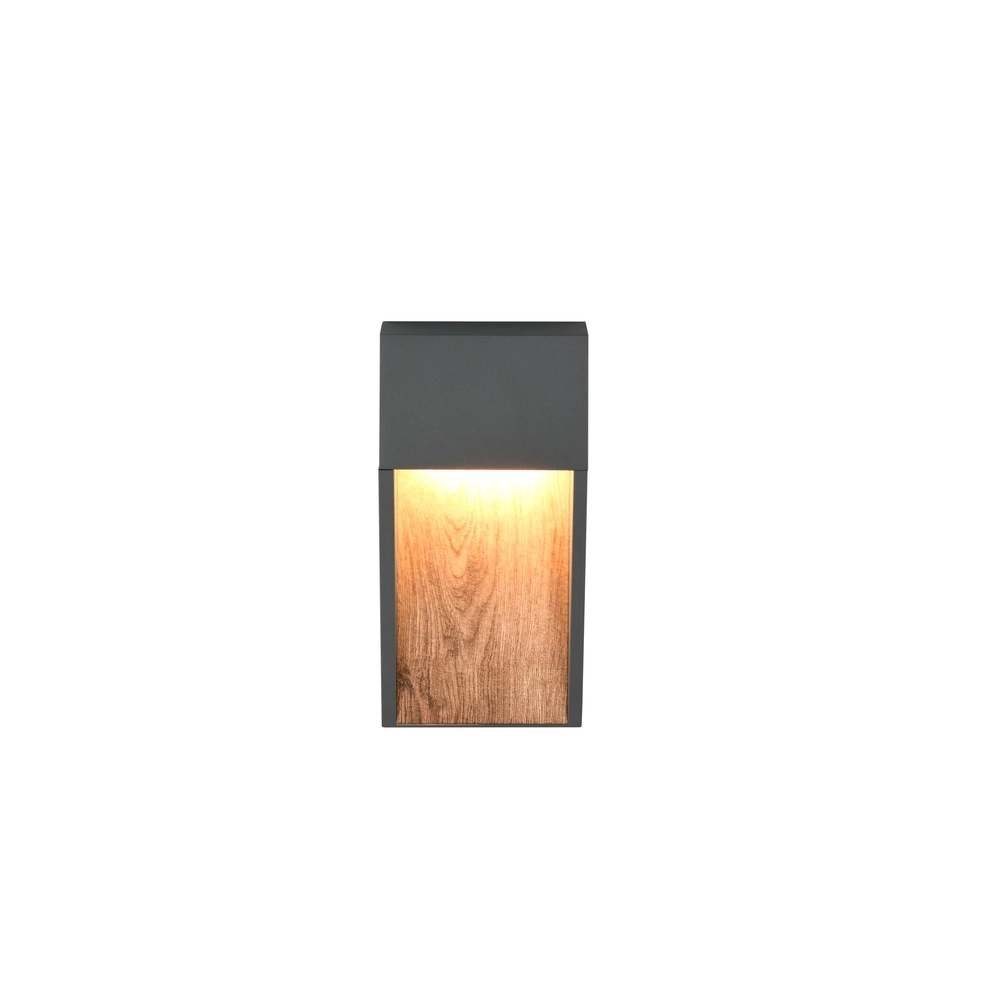 Design wall lamp Salmon Grey with wood Trio 4017807603705