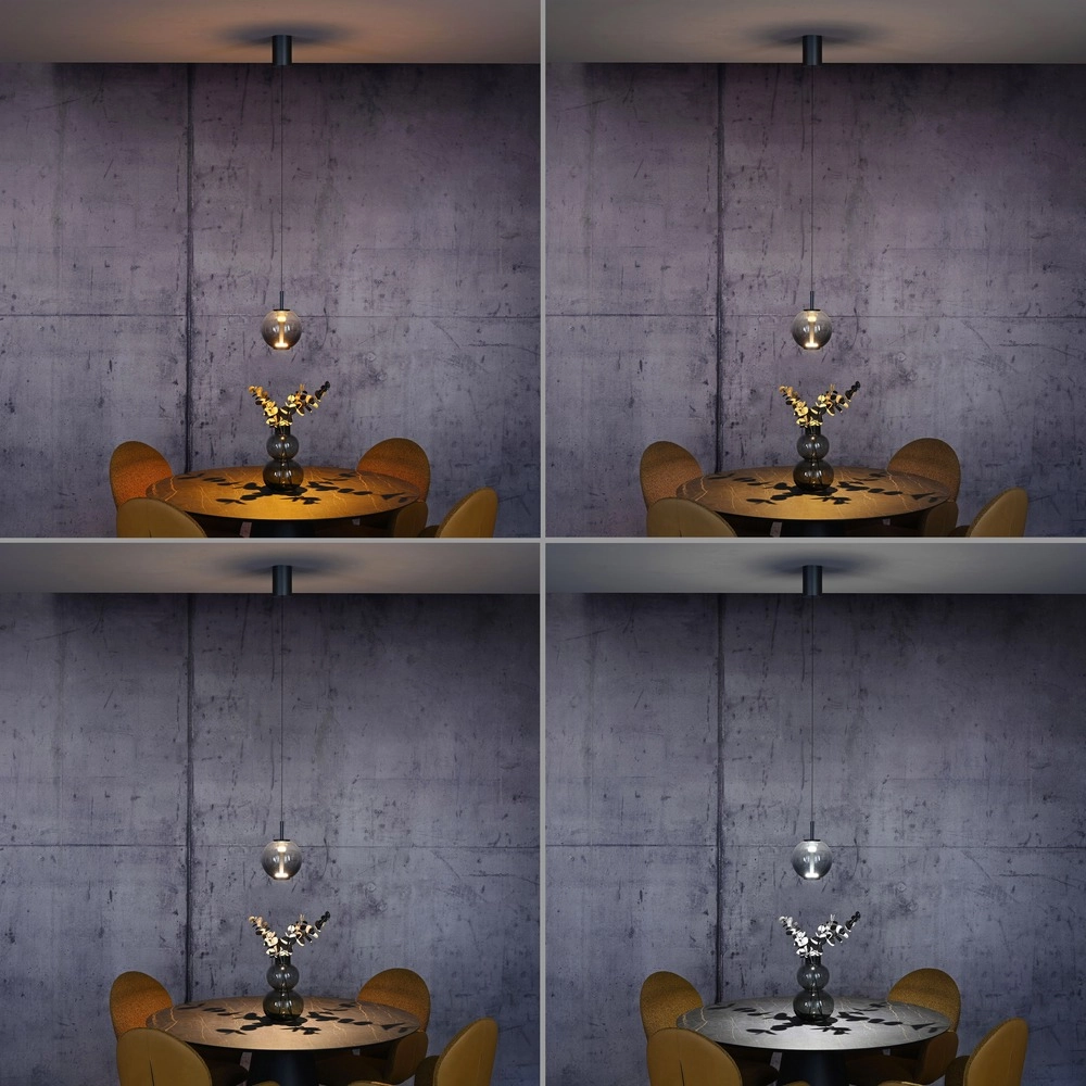 Led pendant light Pure Infinity with smoke glass - Ø 18cm Paul Neuhaus 4012248399033