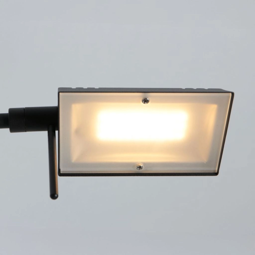 Reading lamp Glowgo Black rechargeable Steinhauer 8712746184532