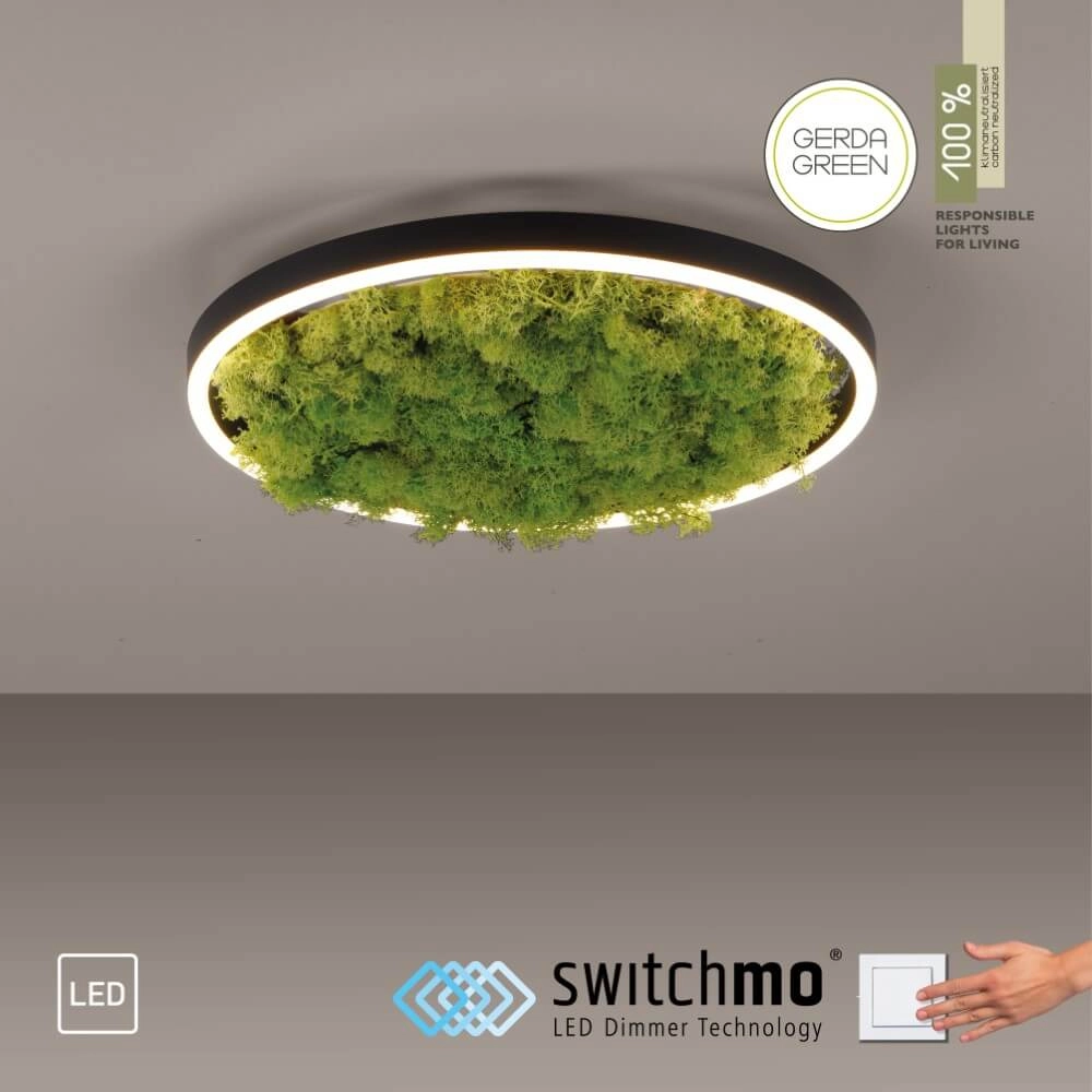 Ceiling lamp Green Ritus with moss Ø 39,3cm Just Light 4043689994792