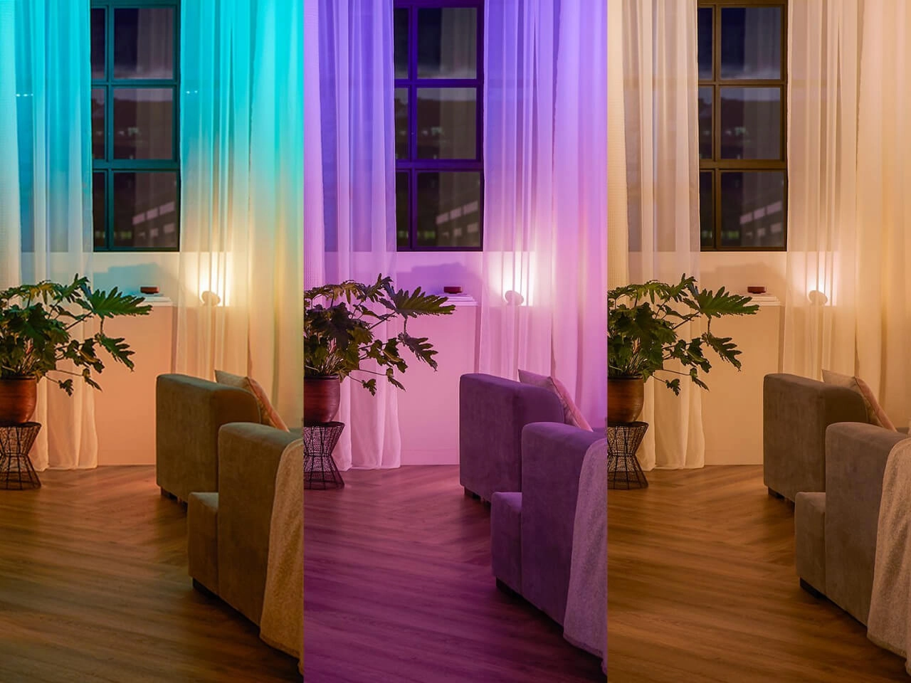 Hue Wall Switch Philips