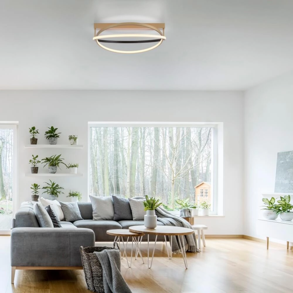 Ceiling lamp Q-Beluga brass Paul Neuhaus 4012248373606