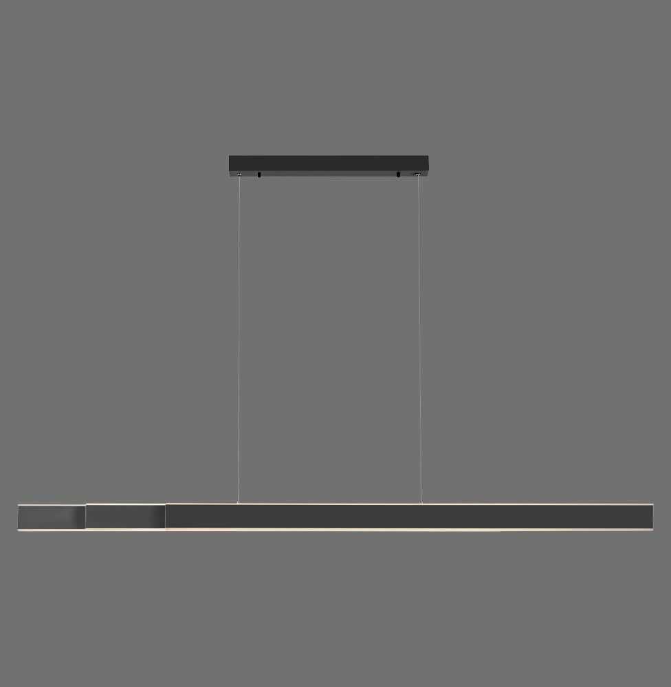 Sleek hanging lamp Pure Lume anthracite Paul Neuhaus 4012248357842