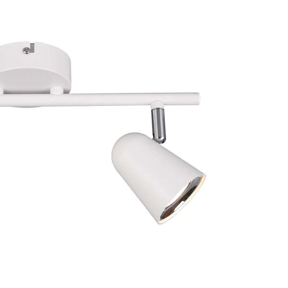 Ceiling spot Toulouse 2-light Trio 4017807425147