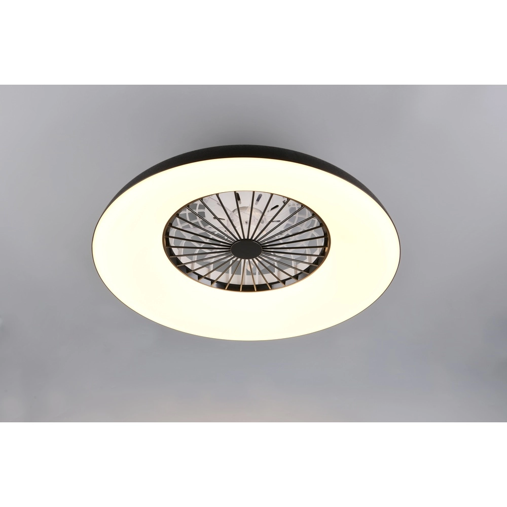 Design fan Svaerholt black Ø 60cm with RGB function Trio 4017807688795
