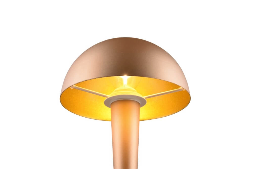 Brown table lamp Canaria design Trio 4017807574951