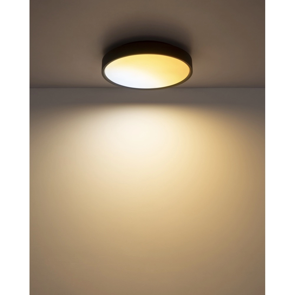 Ceiling light Jess Black Globo 9007371592470