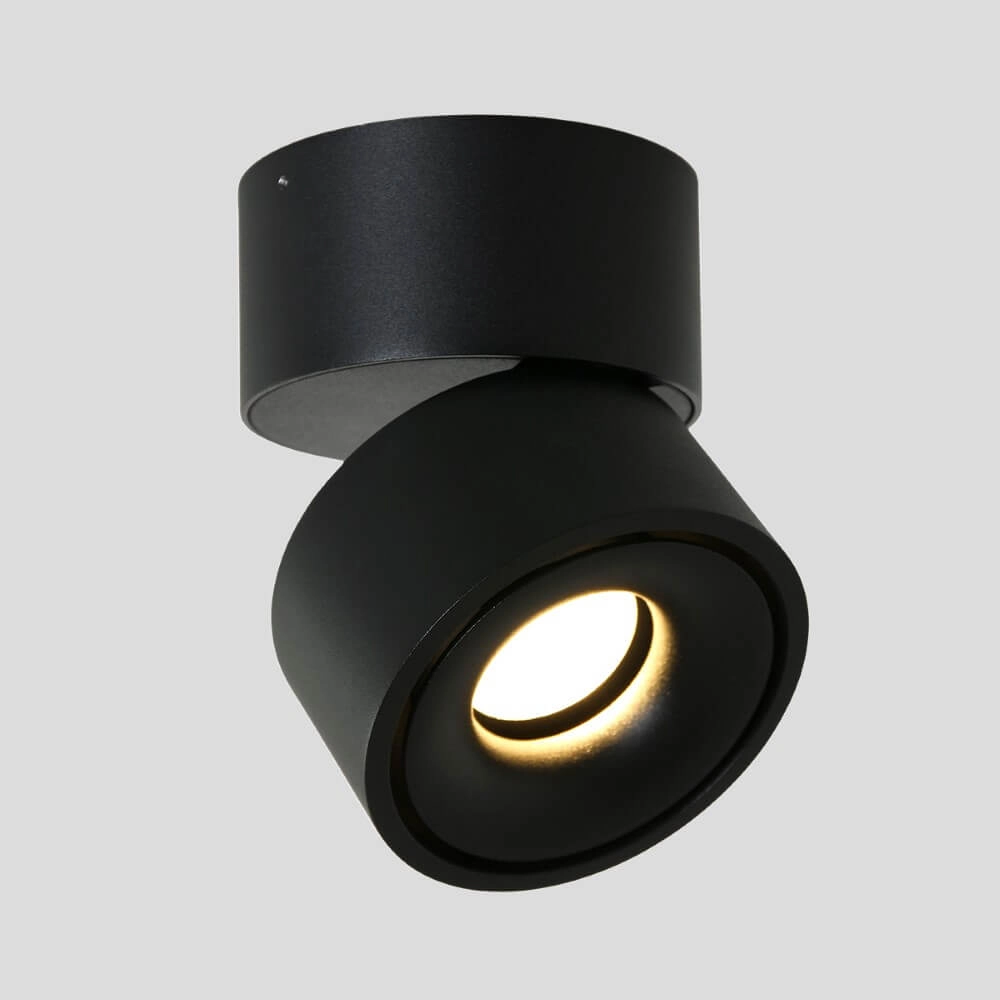 Sleek surface-mounted spot Fez Black black Steinhauer 8712746132496
