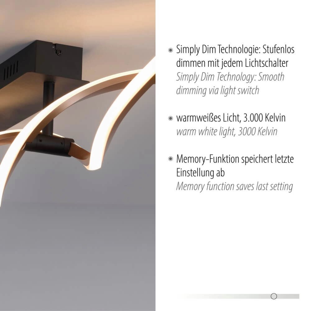 Design ceiling lamp Polina 106cm Paul Neuhaus 4012248371725