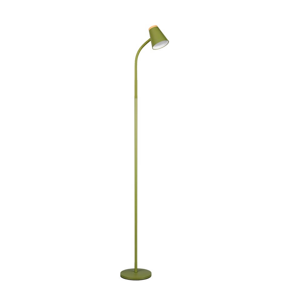 Floor lamp Pongo green Trio 4017807642872