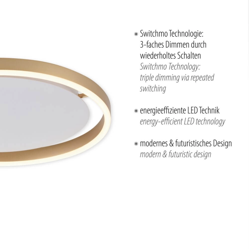 Ceiling lamp Ritus brass Ø 39.3cm Just Light 4043689985622