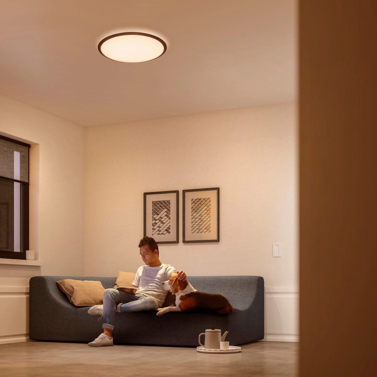 LED flush ceiling light Cavanal 35 Philips 8718696169285