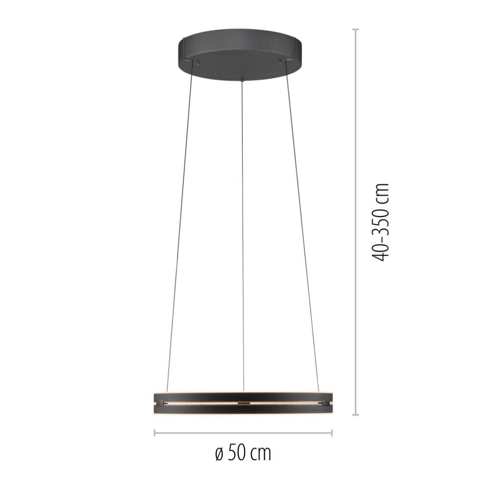 Sleek hanging lamp Pure E-Loop black Paul Neuhaus 4012248386224