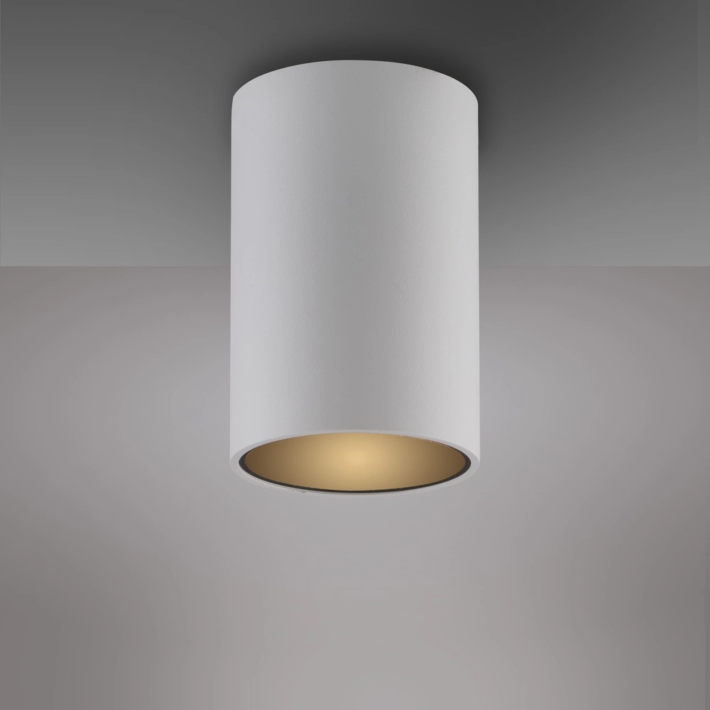 Ceiling surface-mounted spot Pure Point Ø 6cm - white Paul Neuhaus 4012248395660
