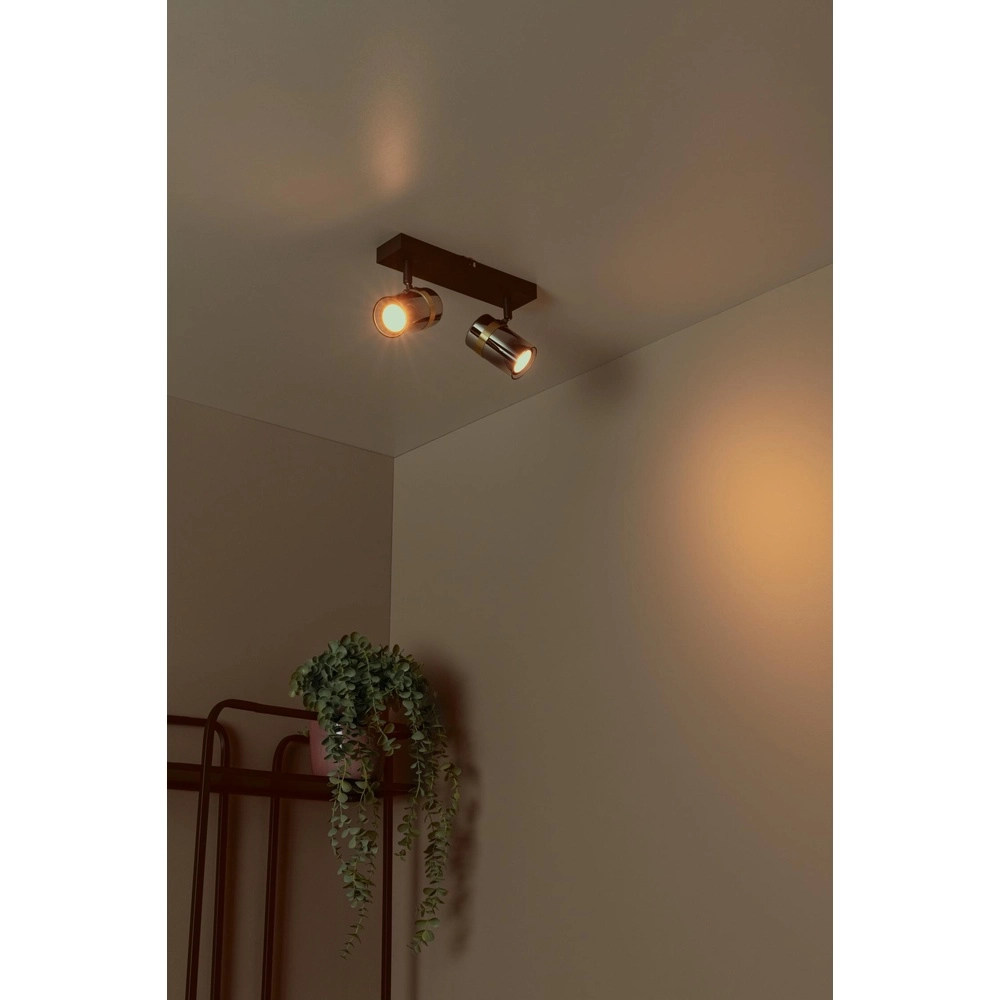 Ceiling spotlight Upton 2-light black Lucide 5411212570024