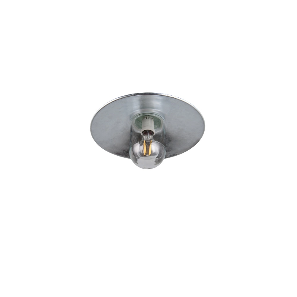 Barn lamp Tana zinc grey Trio 4017807691672