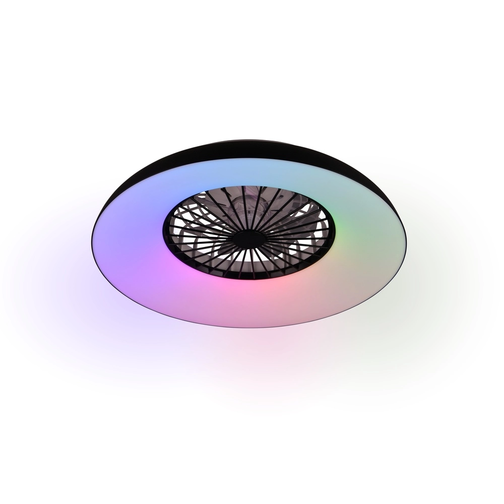 Design fan Svaerholt black Ø 60cm with RGB function Trio 4017807688795