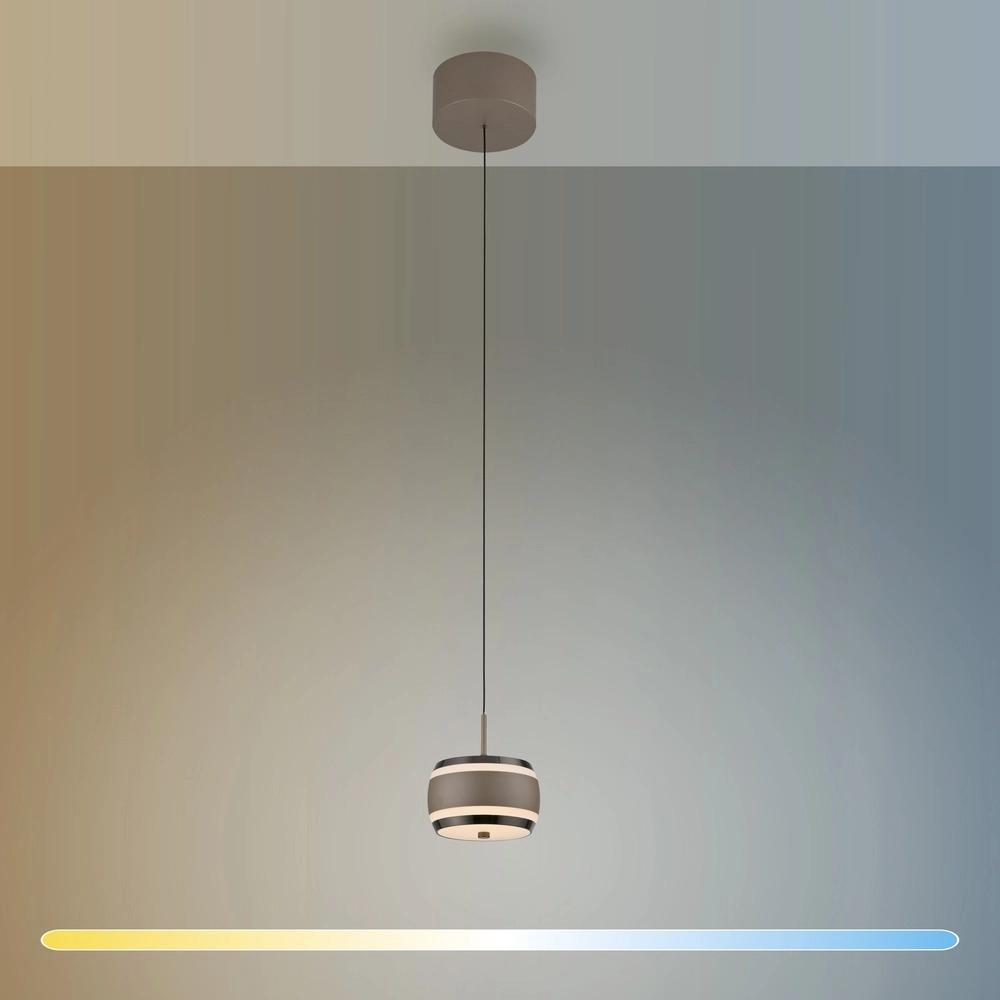 Sleek LED pendant Pure Falling Rings Bronce Paul Neuhaus 4012248396568
