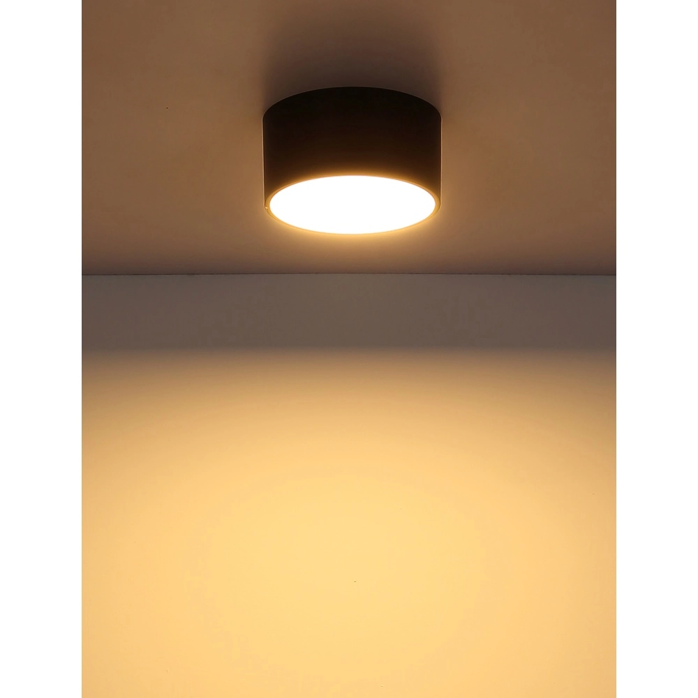 Ceiling lamp Raymond Black Globo 9007371525867