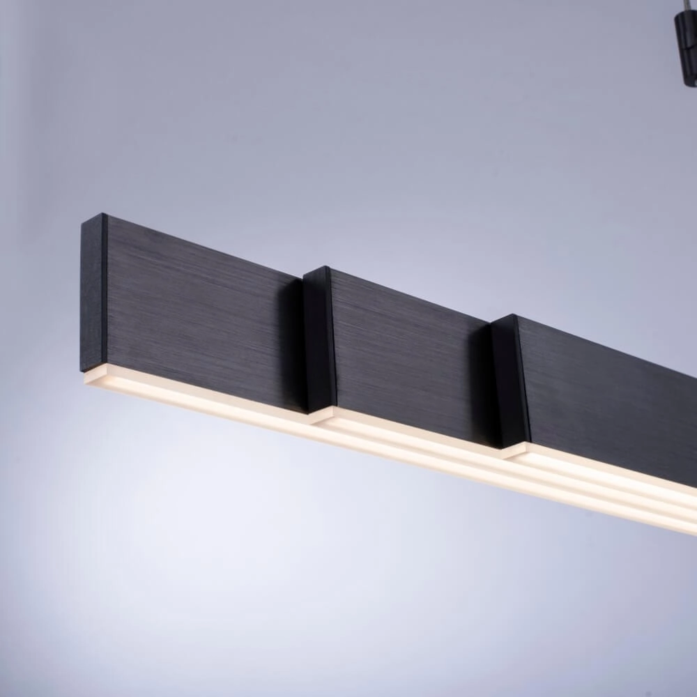 LED hanging lamp Pure-Moto brushed anthracite Paul Neuhaus 4012248363751
