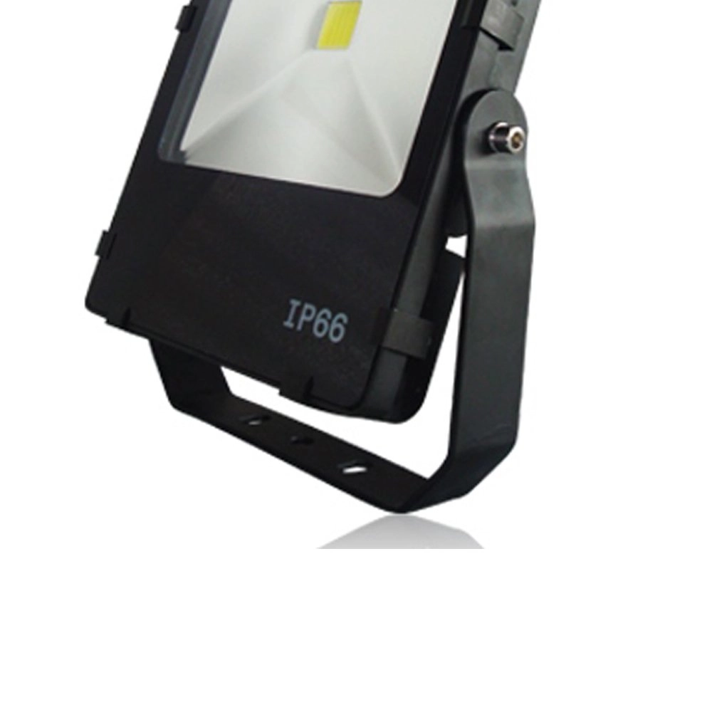 Led garden spotlight Floodlight Franssen 8717064119686