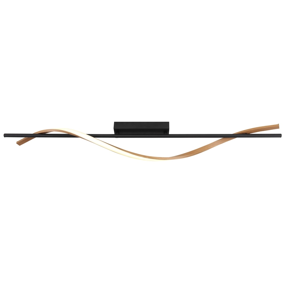 Design ceiling lamp Watkins Black Globo 9007371531745
