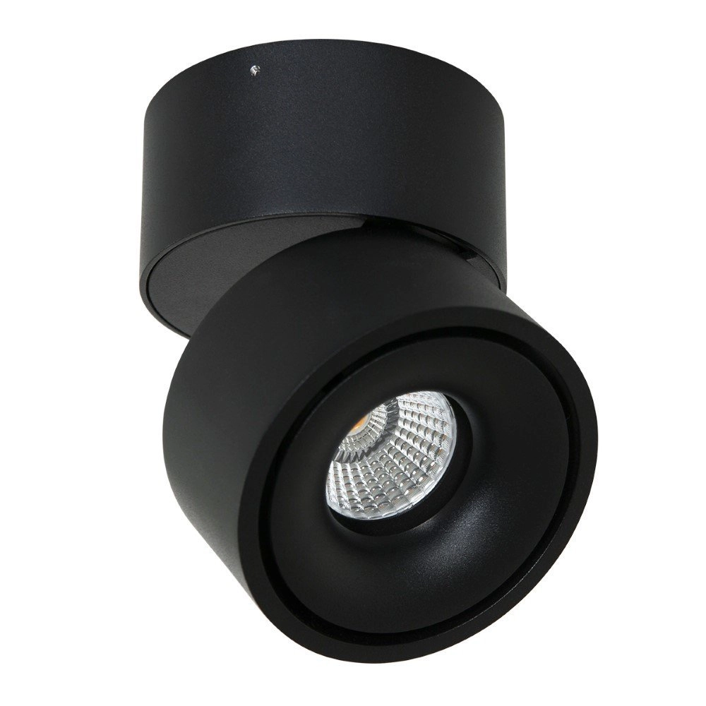 Sleek surface-mounted spot Fez Black black Steinhauer 8712746132496