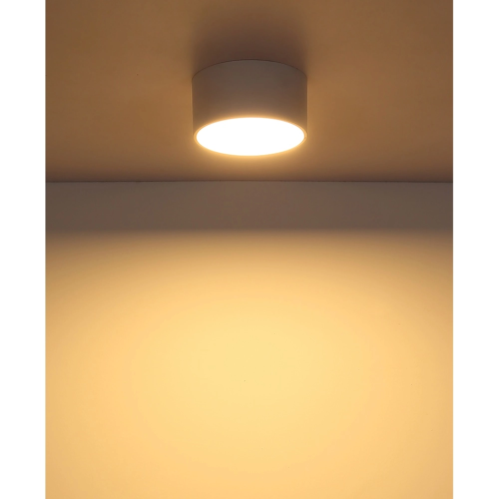 Ceiling lamp Raymond white Globo 9007371531868