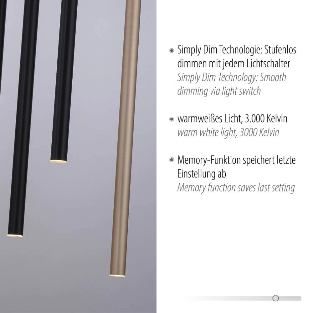 Unique pendant lamp Flute 10-light Paul Neuhaus 4012248374788