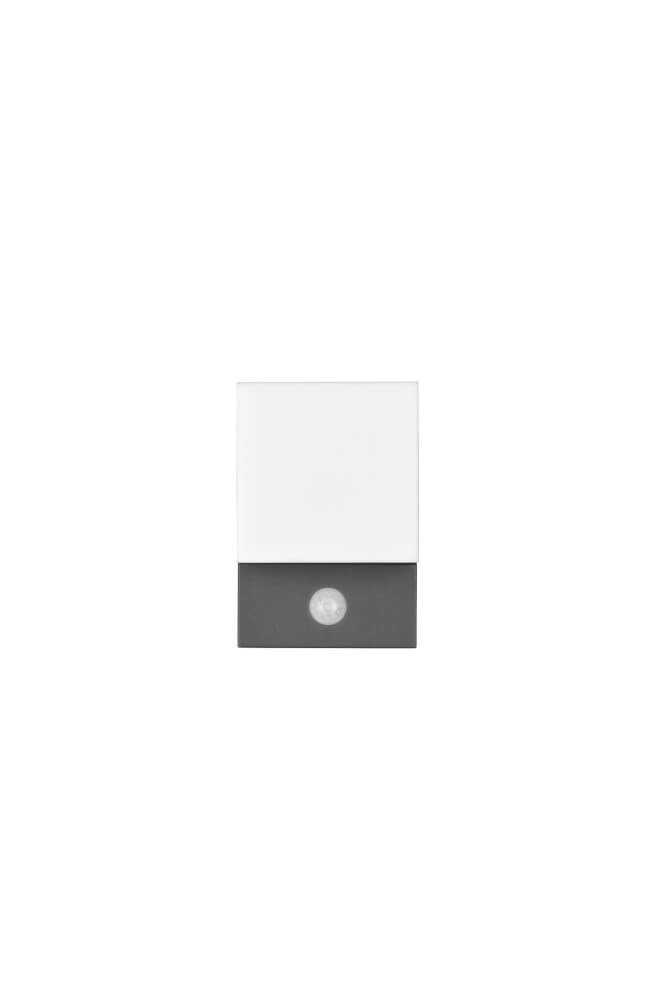 LED wall lamp Avon with motion sensor Trio 4017807529135