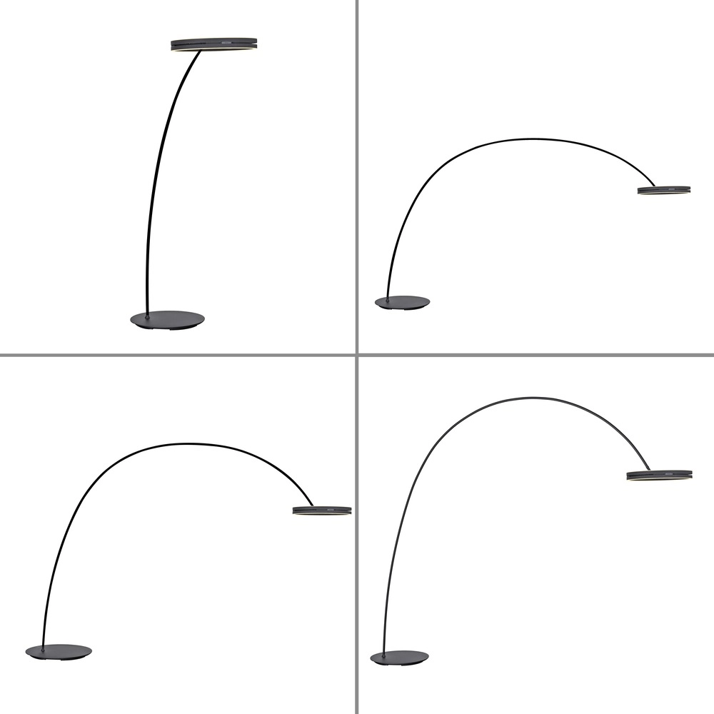 Sleek arc lamp Pure Loop-Bow Adjustable - Black Pearl Paul Neuhaus 4012248397152