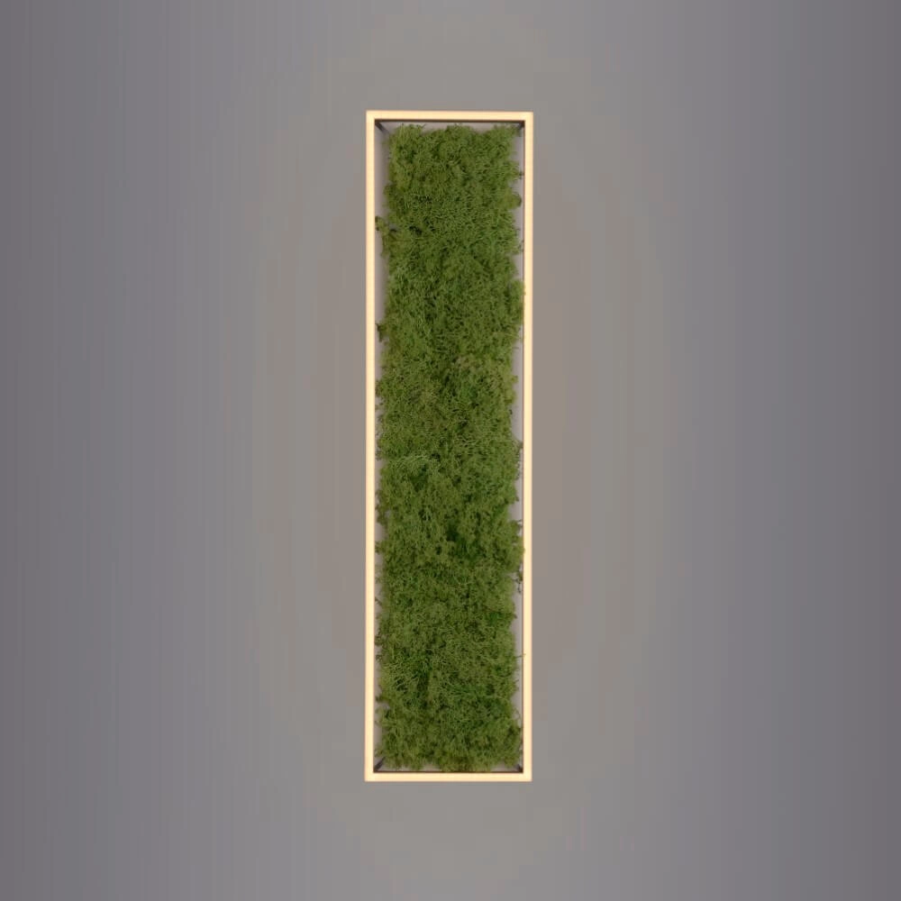 Rectangular ceiling lamp Green Knut with moss Just Light 4043689994846