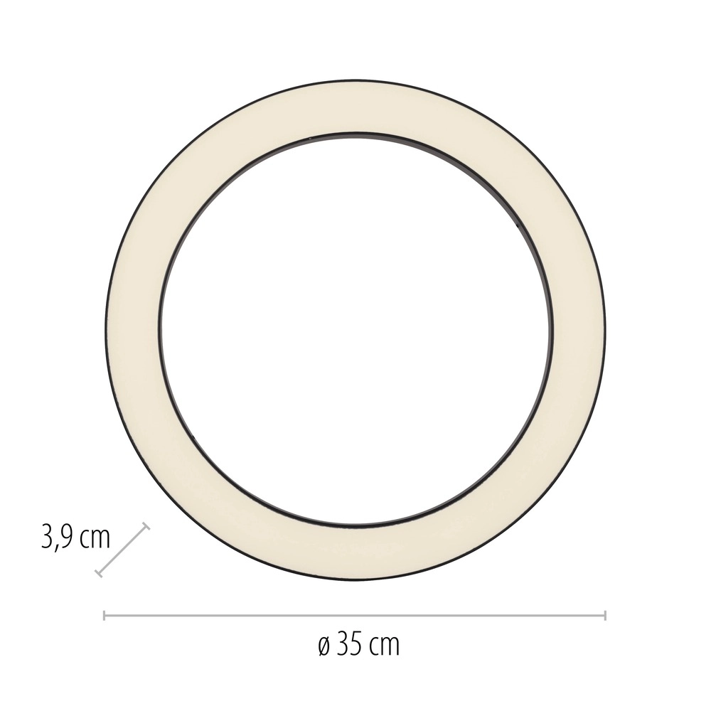 Sleek led ceiling lamp Pure Lines Round Ø 35cm - graphite Paul Neuhaus 4012248395219