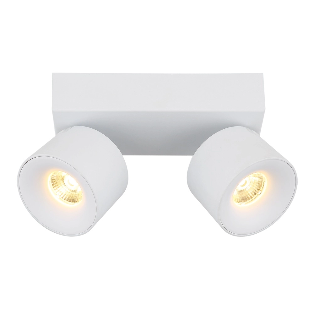 Sleek ceiling lamp Rae 2-light white Globo 9007371450640