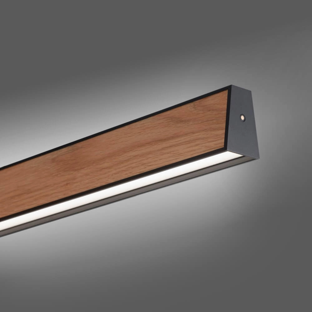Design hanging lamp Pure E-Motion wood Paul Neuhaus 4012248372937
