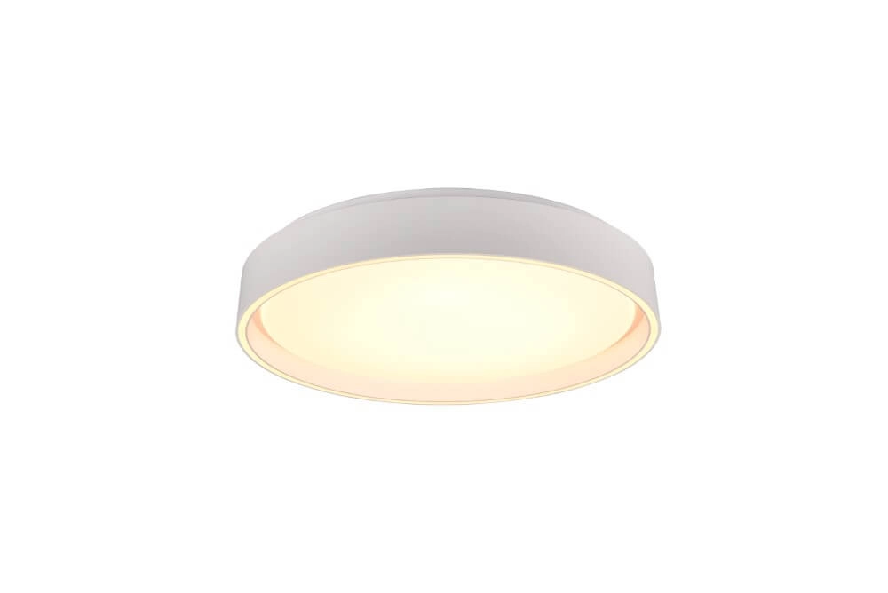 Ceiling light Felis with remote control Trio 4017807588064