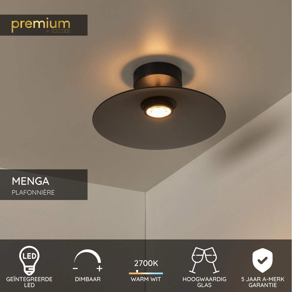 Sleek ceiling lamp Menga Ø 40cm smoke glass Premium by Lucide 5411212251237