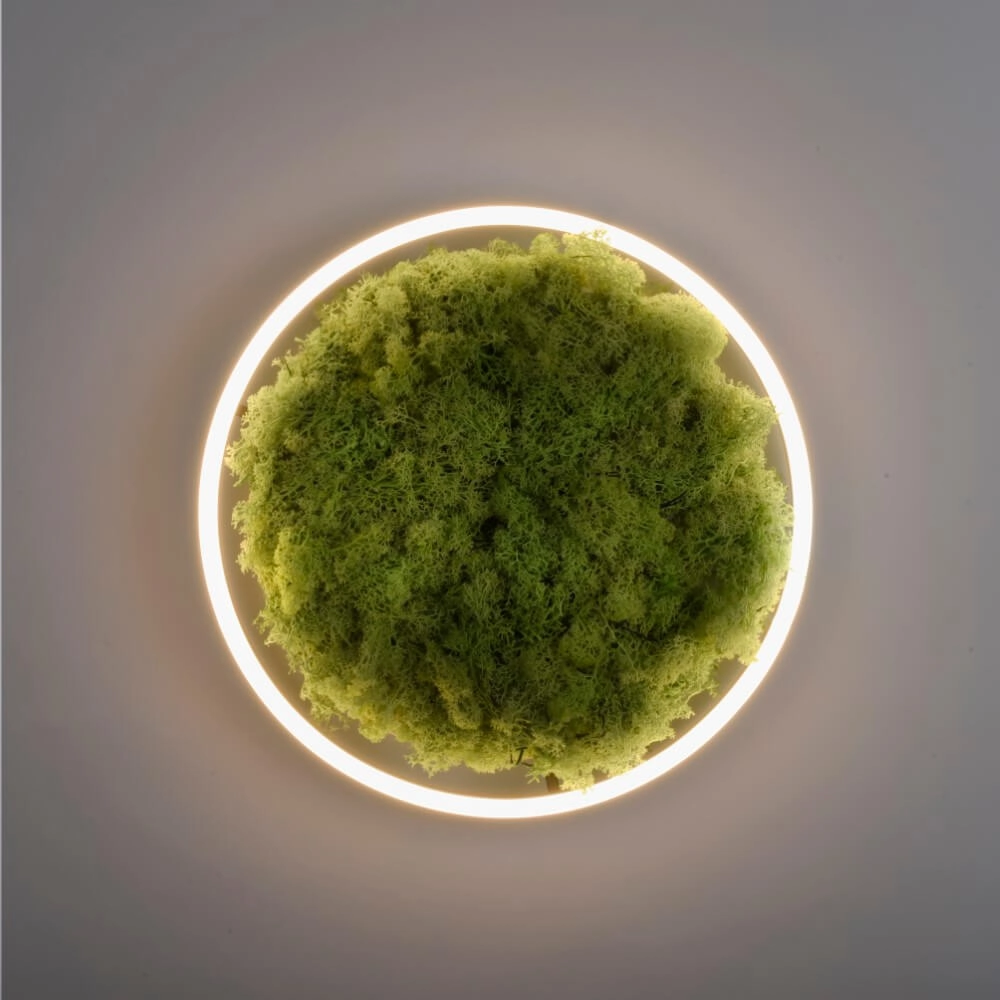 Ceiling lamp Green Ritus with moss Ø 39,3cm Just Light 4043689994792