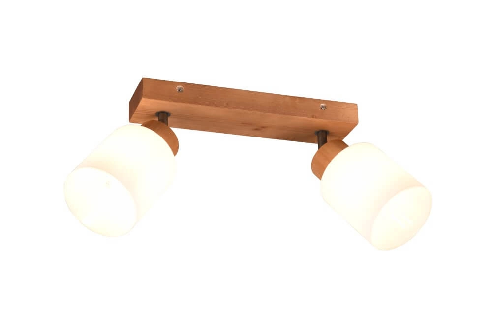 Rural ceiling spotlight Assam 2-light Trio 4017807539790