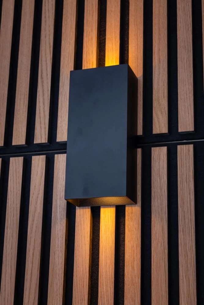Sleek wall spotlight David black ETH 8720195305583