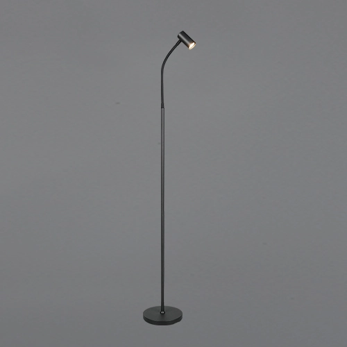 Design floor lamp Taryn Black Trio 4017807685756