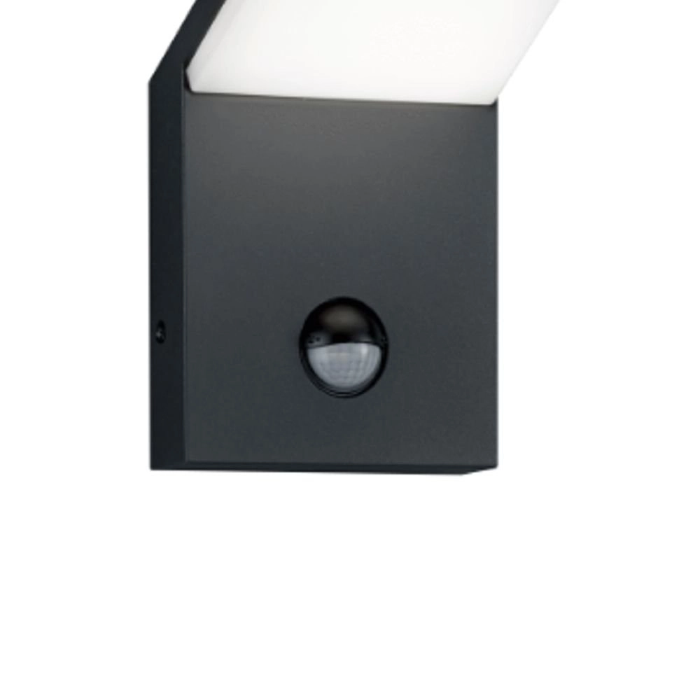 LED outdoor lamp Pearl with montion sensor Trio 4017807279290