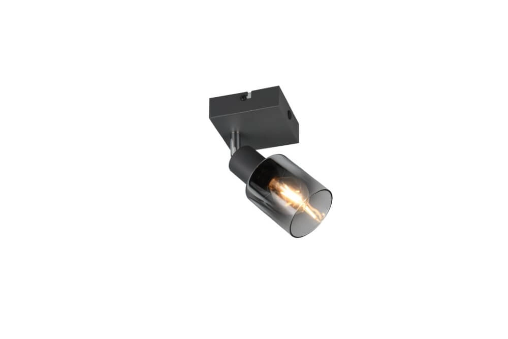 Black wall light Cadiz with smoke glass Trio 4017807615753