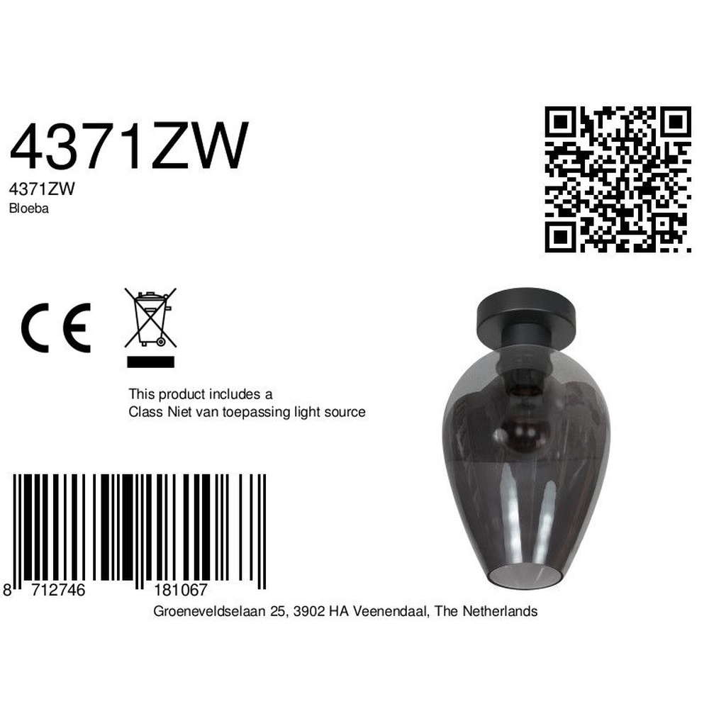Ceiling lamp Bloeba smoke glass Ø 22.5cm Steinhauer 8712746181067