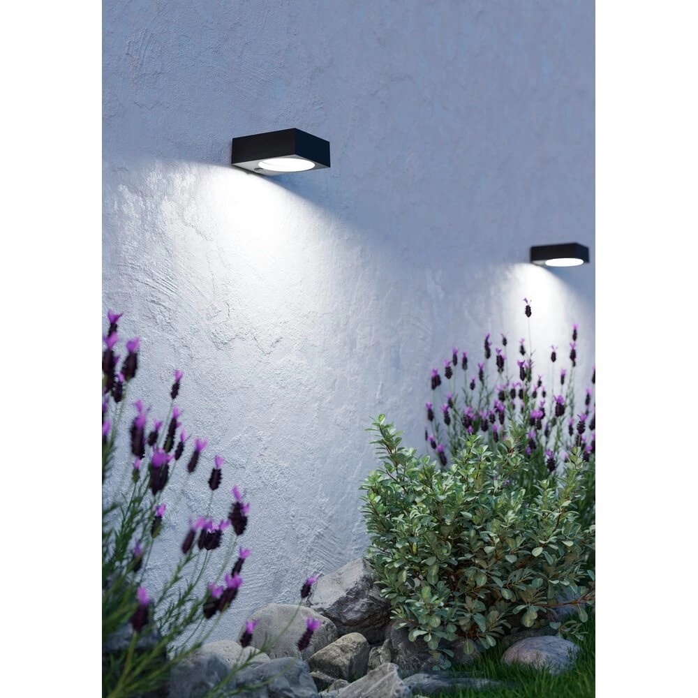 Design wall lamp Darfano black Eglo 9008606355013