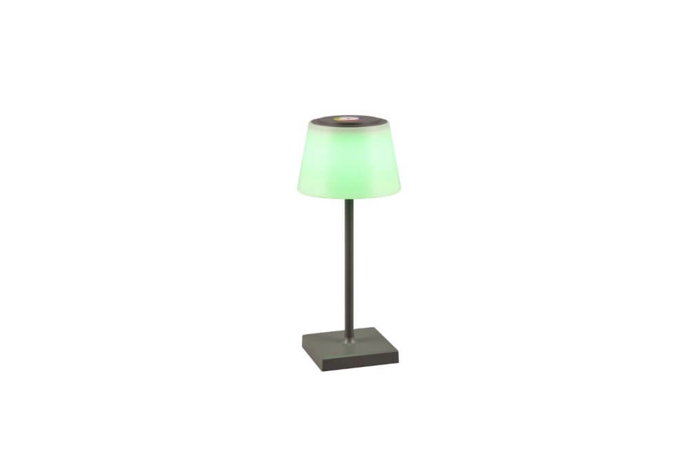 Rechargeable table lamp Sanchez anthracite Trio 4017807570595