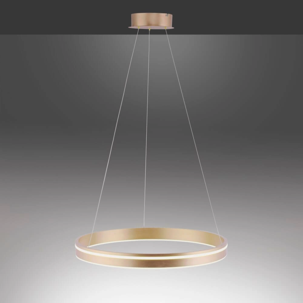 Design pendant lamp Q-Vito Ø 59cm brass Paul Neuhaus 4012248357767
