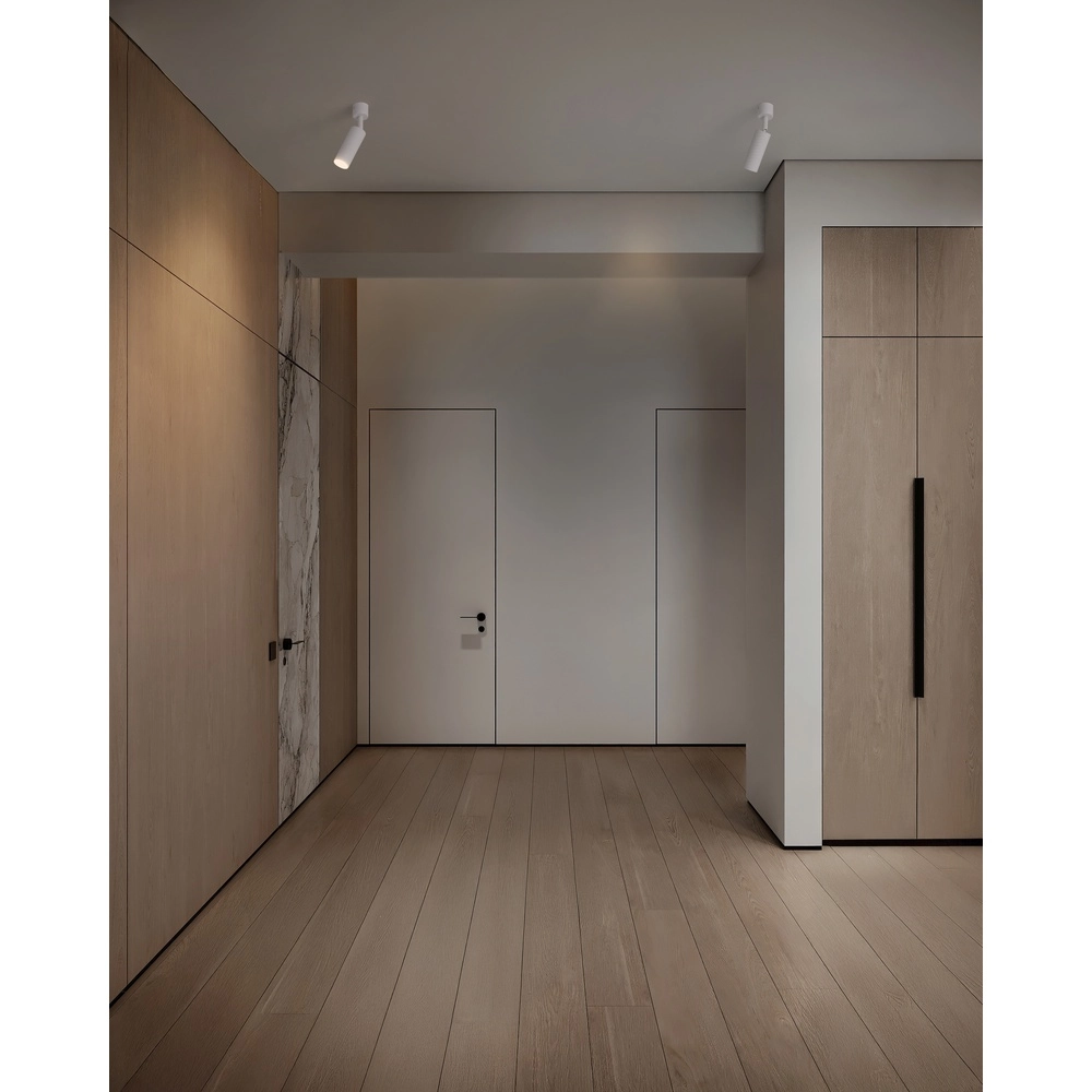 Ceiling spotlight Comet Orientable white Lyora 5212017475787