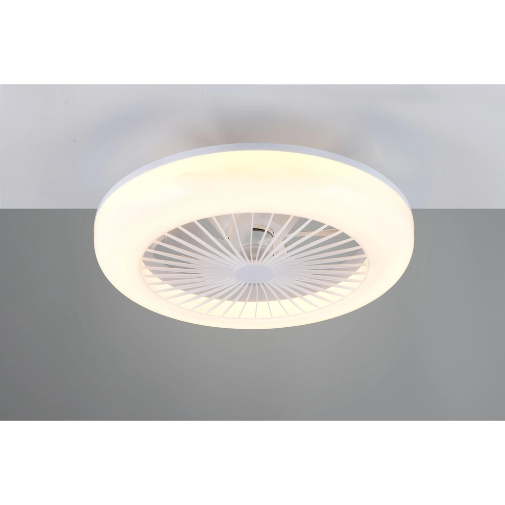 Ceiling fan Mora white with lamp Trio 4017807650419